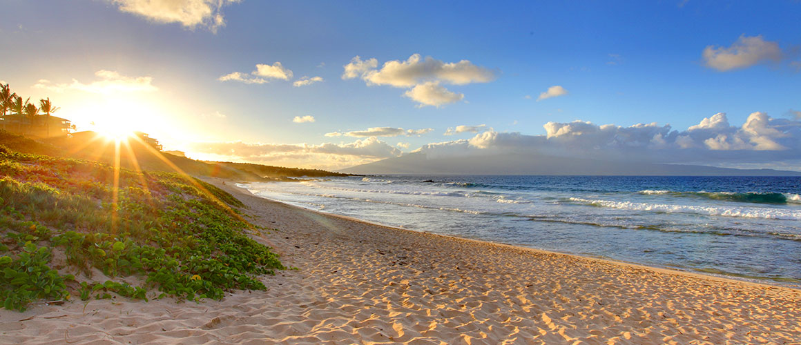 Maui Beach photo