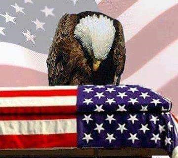 Eagle with flag Memorial Day