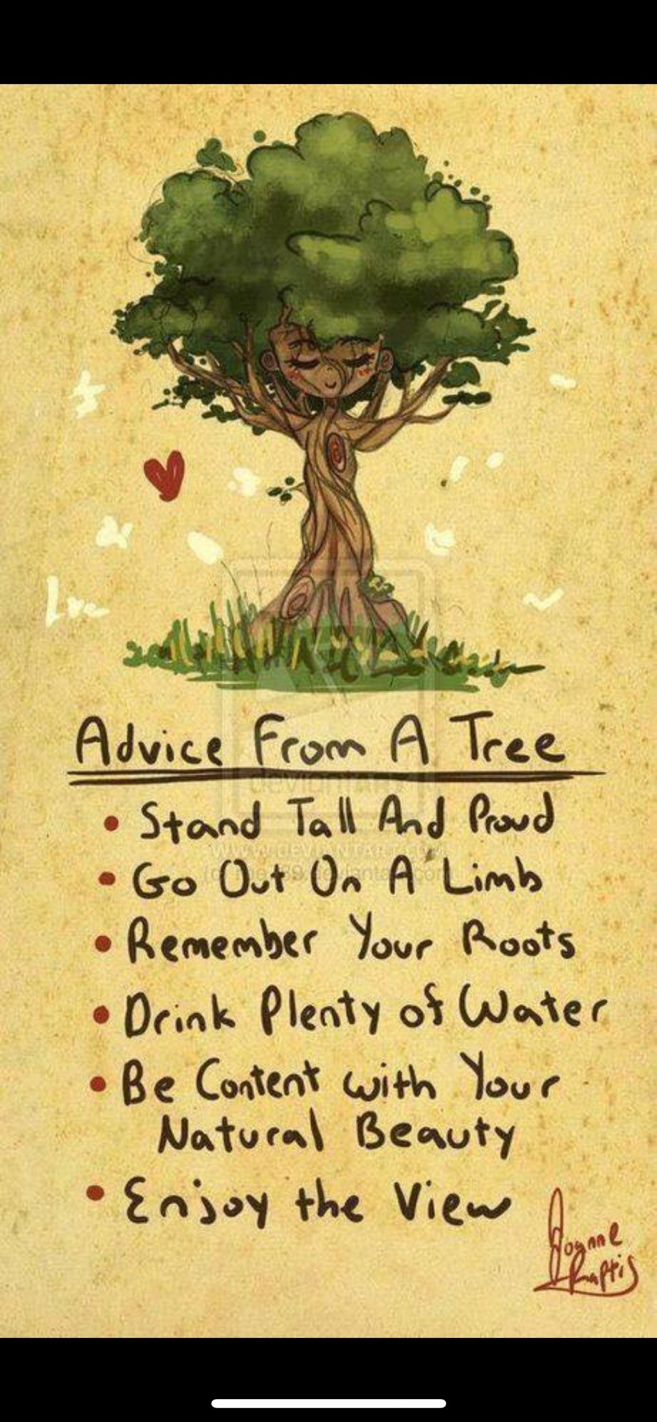 Advice from a tree.jpg
