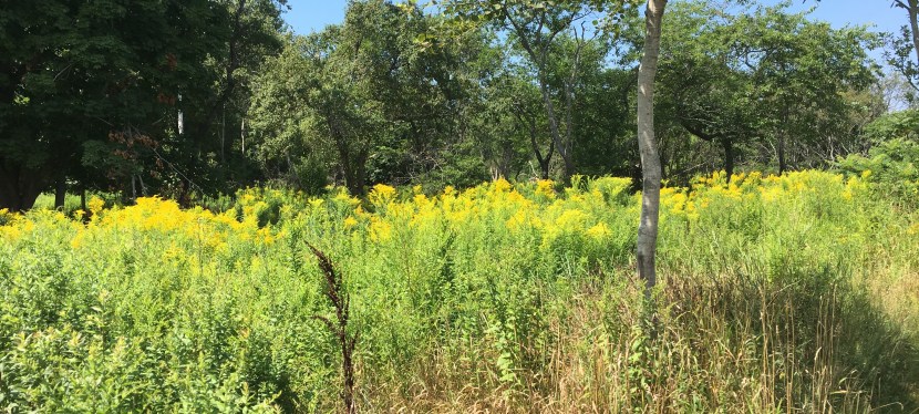 Hope and Humanity at the U.S. Border