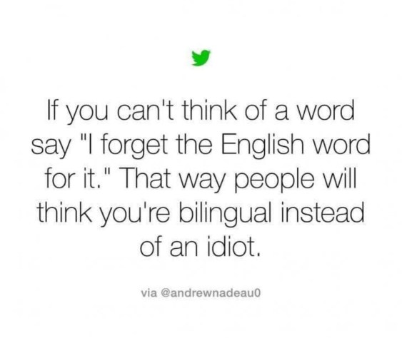 Bilingual versus an idiot
