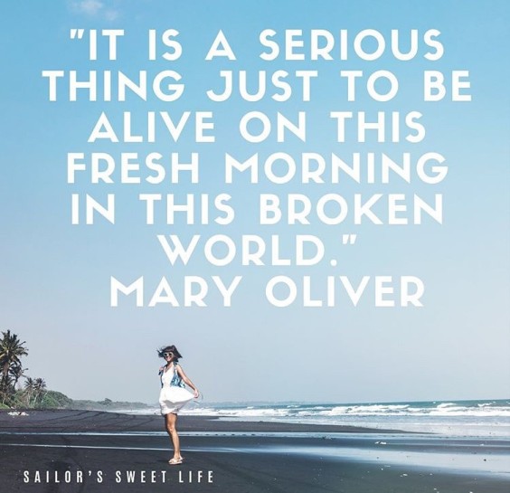 Mary Oliver quote